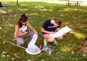 Students conduct insect research in Red Barn Park on the Truman campus