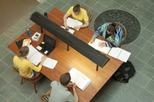 Students studying in Library