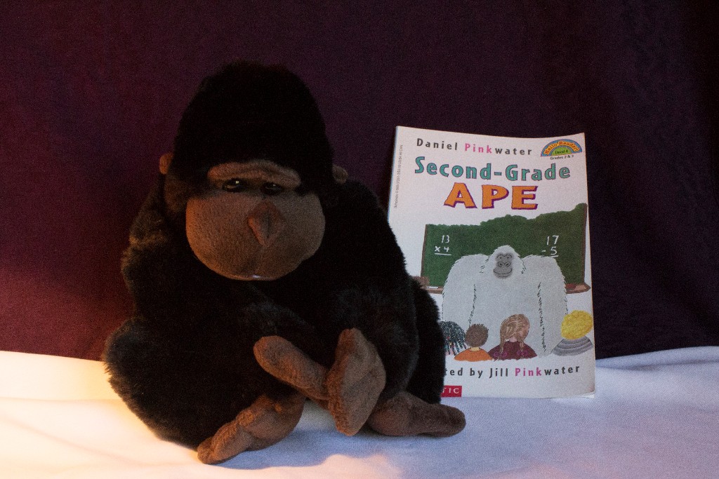 NEMO Annual Banquet and Auction Items