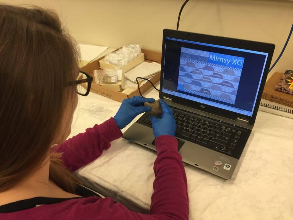 Student using laptop at Missouri History Museum