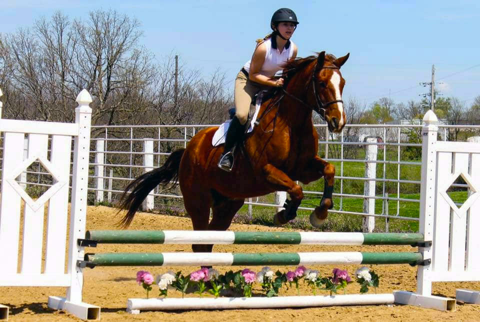 Equestrian Team