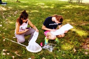 Student conducting insect research