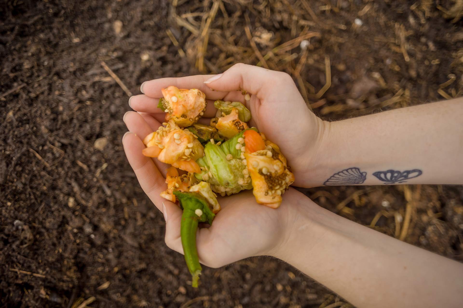 University-Farm-Compost-Project-3