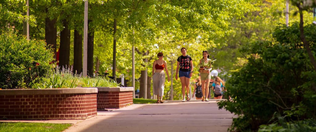 Enjoy walking pathways lined with trees